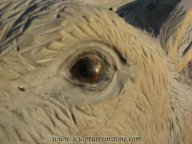 Stone Elk Sculpture close up of eye